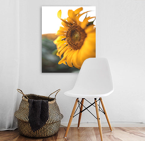 Flora Essence - Sunflowers