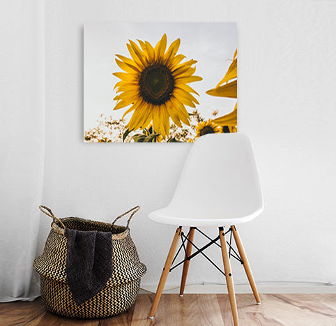 Flora Essence - Sunflowers
